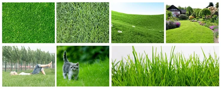 Humic Acid Price.jpg