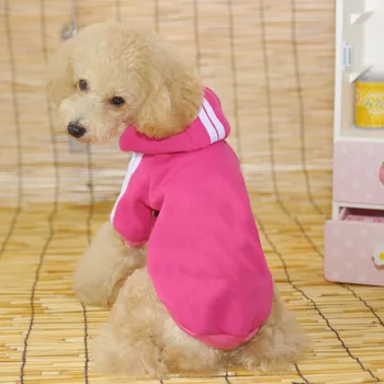 small dog sweaters sale