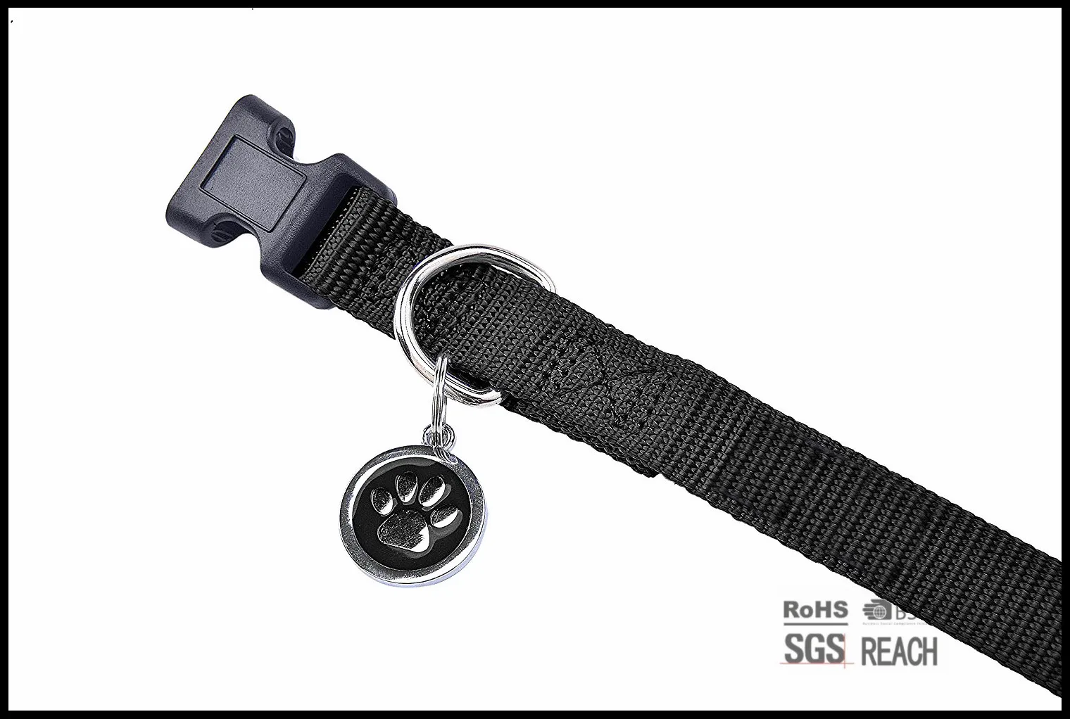 nylon dog collar (3)