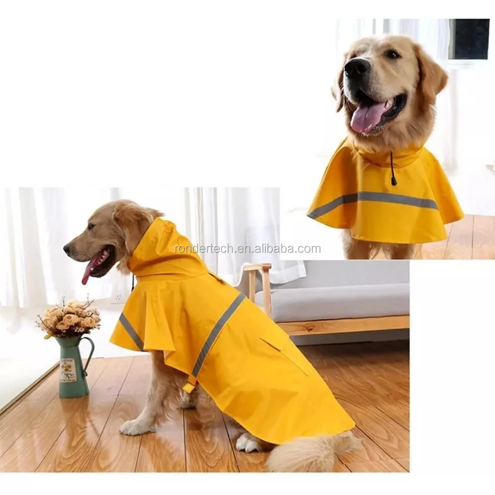 raincoat for labrador retriever