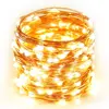 Copper lights LED Fairy Starry String Lights AA Battery Powered Rope Lights for Christmas Wedding Decorations