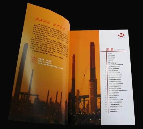 2010050710384419912071