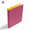 Cheap Custom Plastic Cover Board 2 Holes Ring PVC Binder ,A4 Size PVC file folder