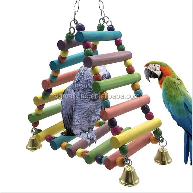 parrot supplies