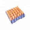 Paper Egg Tray Blue Dye