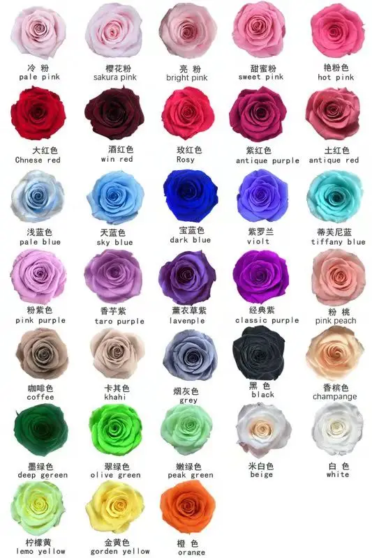 rose head new color chart