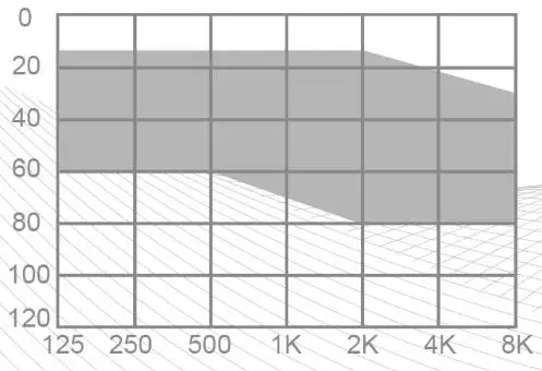 Digital Hearing Aids
