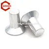 DIN302 Gold Supplier Countersunk head solid Rivet Sets with BEST PRICE