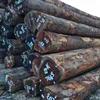 wood Ovengkol ,KD and fresh timber chemical casks, vat, wine barrel