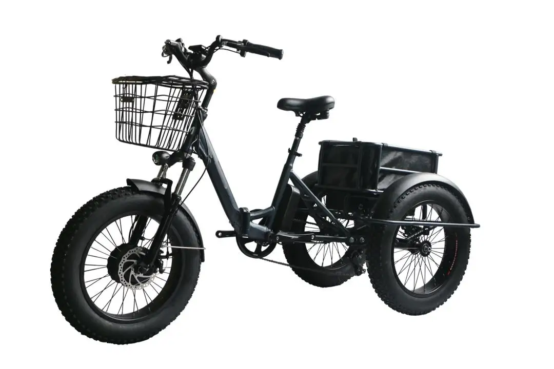 Rear Motor Drive 3 Wheel Cargo Trike Electric Bike 350w Folding - Buy 3 ...