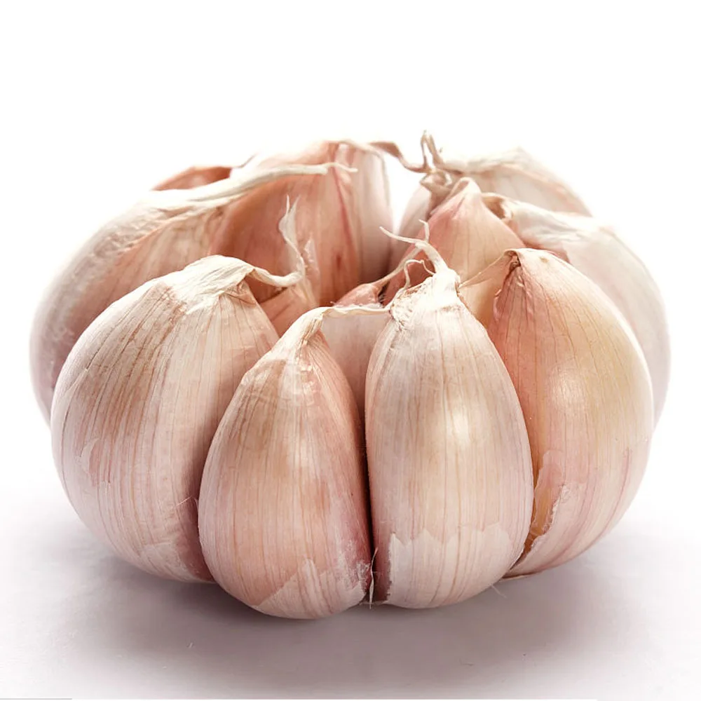 2018 chinese fresh garlic price