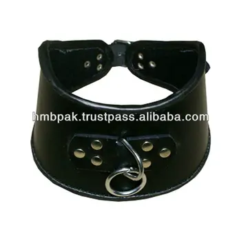 o ring dog collar