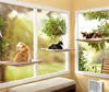 Cat Window Seat Mounted Cat Bed with Suckers