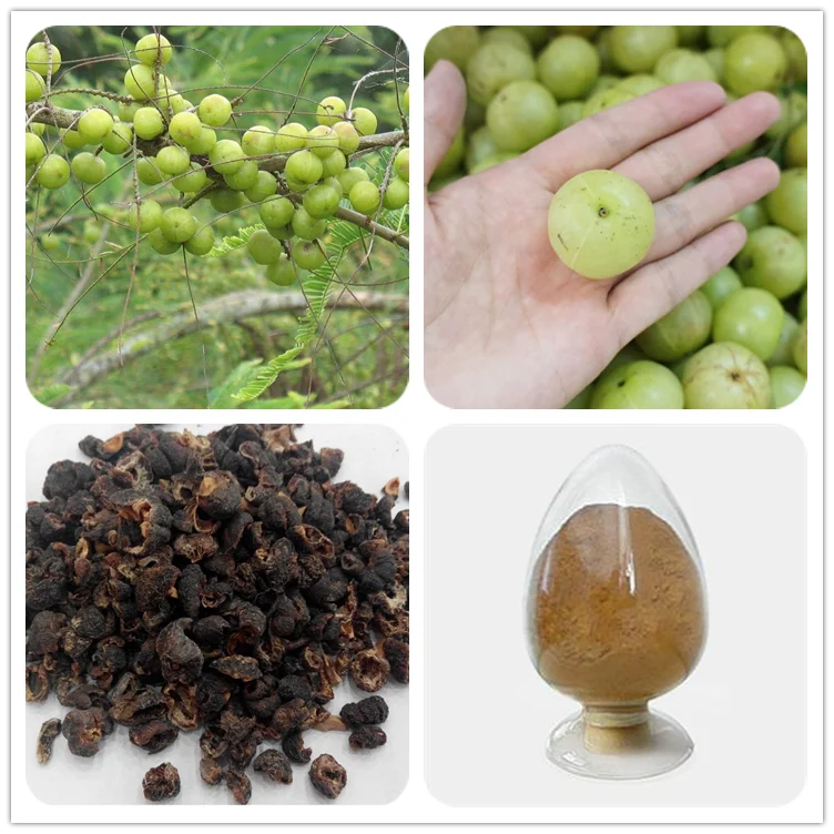 Hair Product Phyllanthus Emblica Gooseberry 40 Tannins Amla Fruit