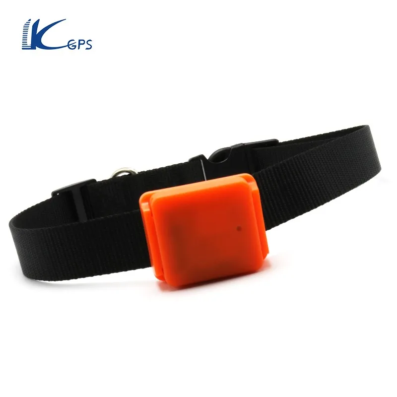 Animal Tracking Device Bird Tracking Devices Gps Tracker For Birds