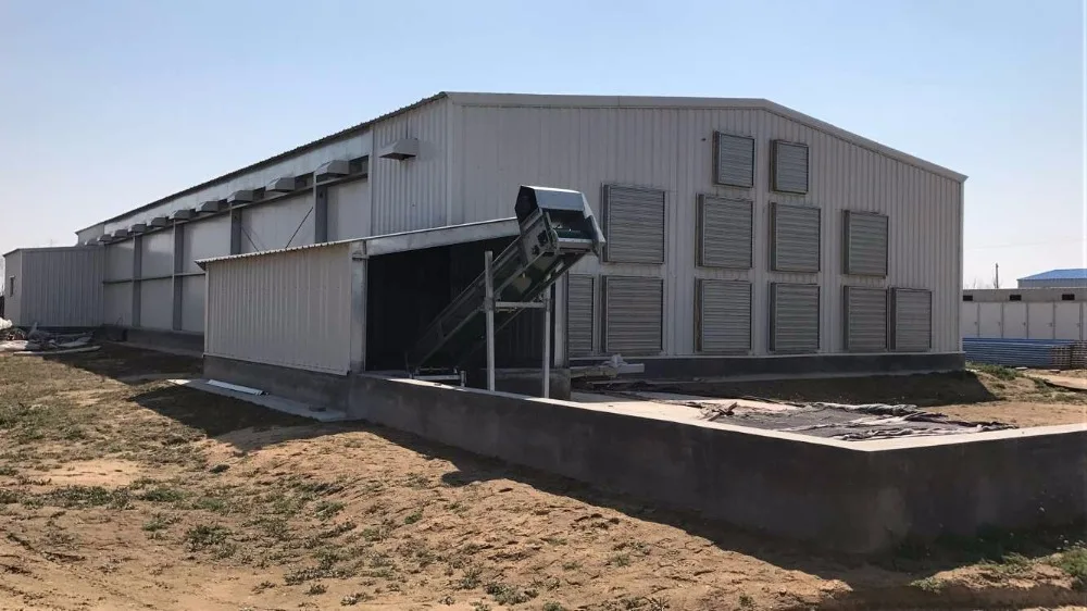 Professionnel Poulailler Fermepoulailler Hangar Fabricant Avec Tous Les équipements En Chine Shandong