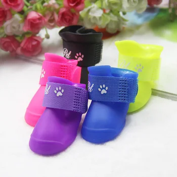 converse perro converse perro