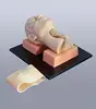 Emulated model for thyrocricoid puncture and discission