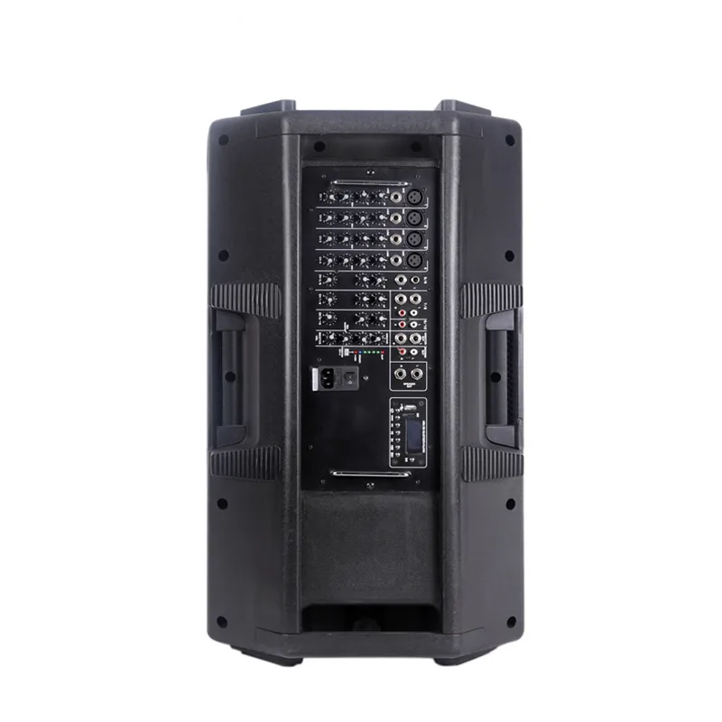 Microphone Speaker Combo Professional With 2 Pcs Passive Box And 1