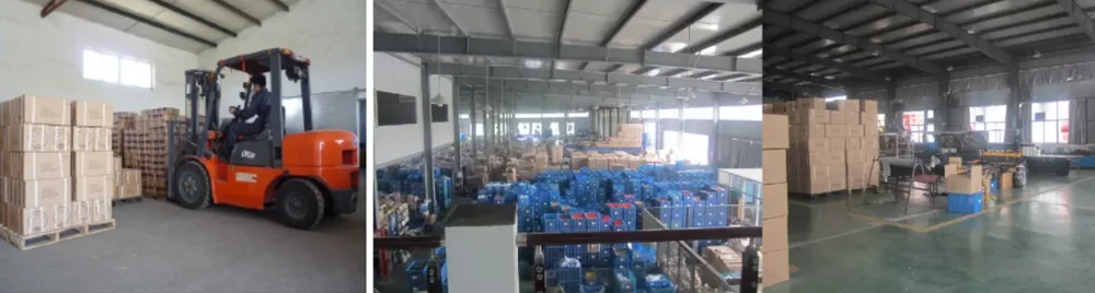 paste-pic-dp_uuid_9wf2u