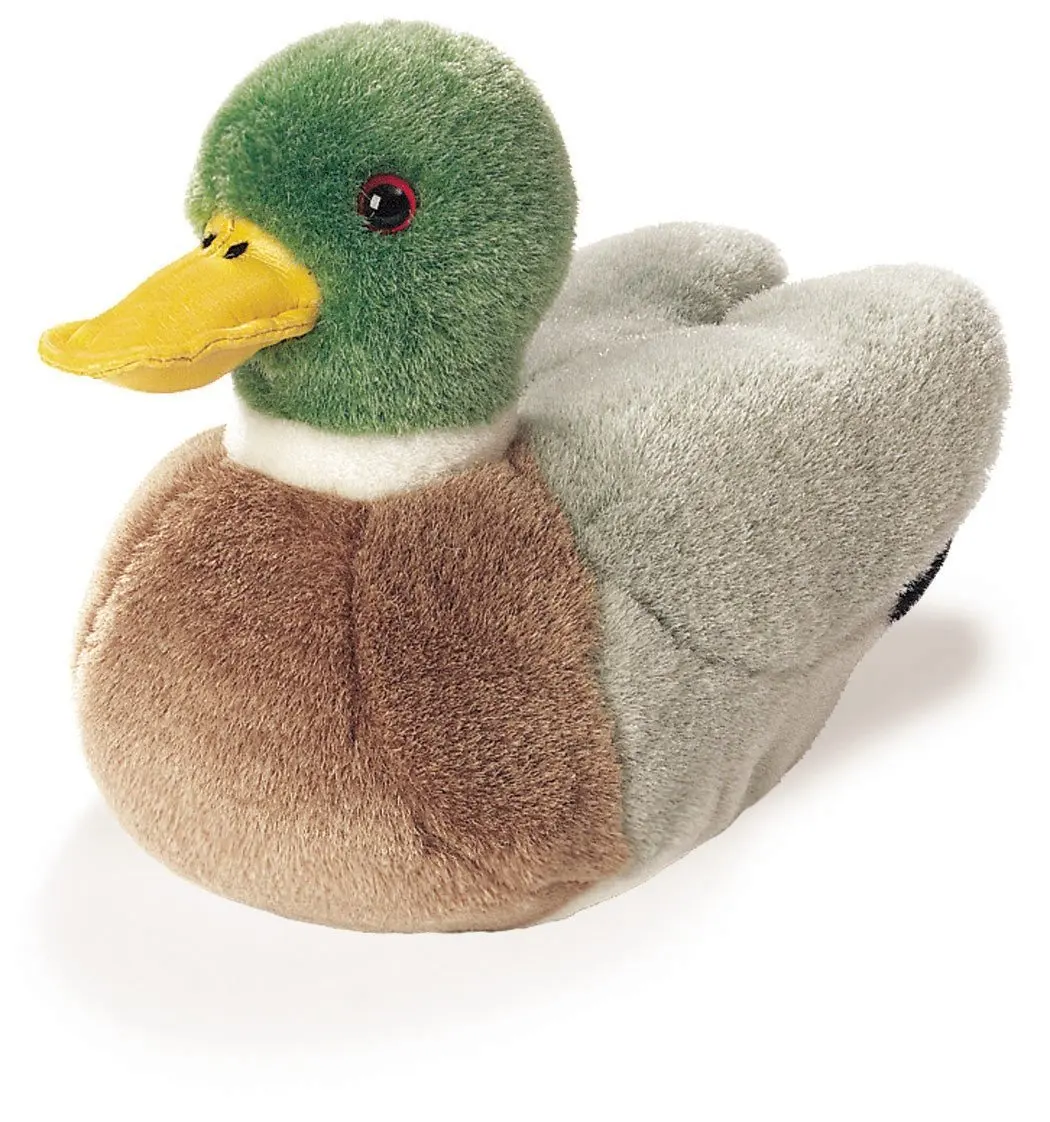 stuffed wood duck