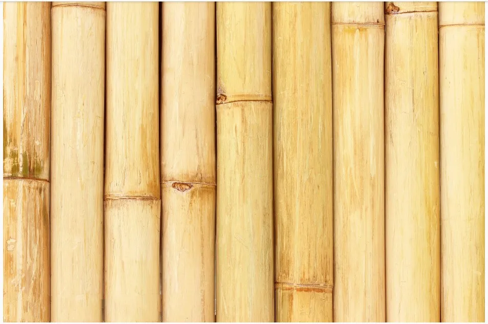 direct factory delivery cheap natural yellow tonkin bamboo poles