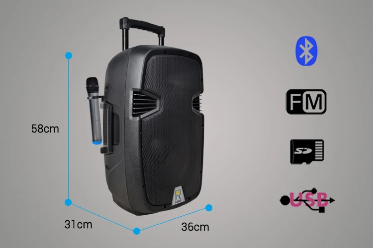 Rqsonic Pml15cab Empty Plastic Speaker Box For Sale Dj Buy