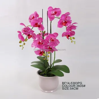 where to buy artificial orchids