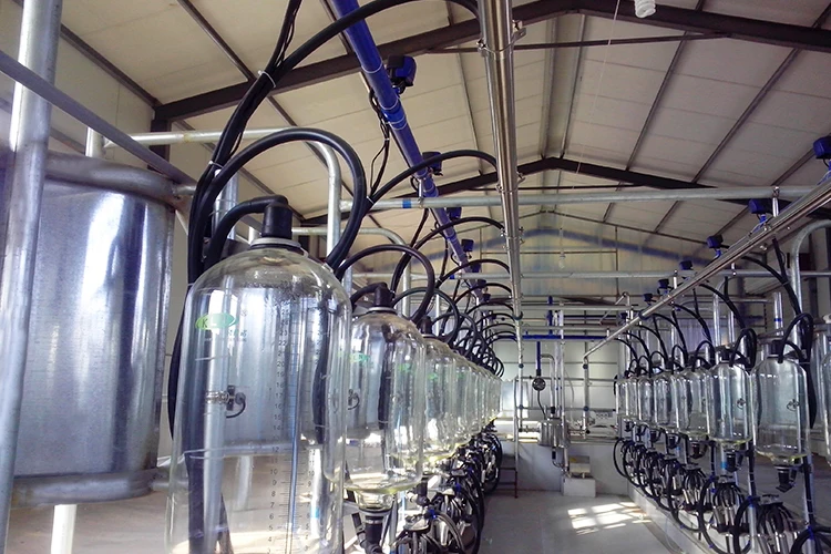 fully automatic electric home batch small mini milk pasteurizer machine for sale