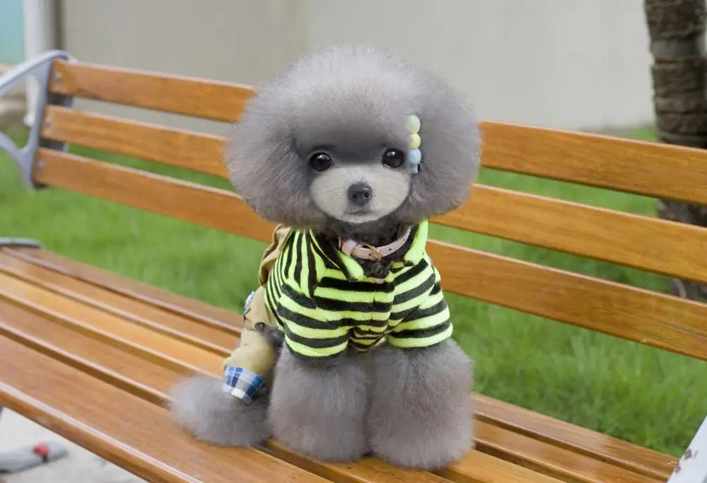 Hot Sale Lovely Striped Puppy Clothes