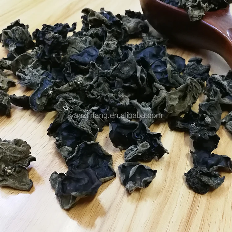 Black-Fungus-4.jpg