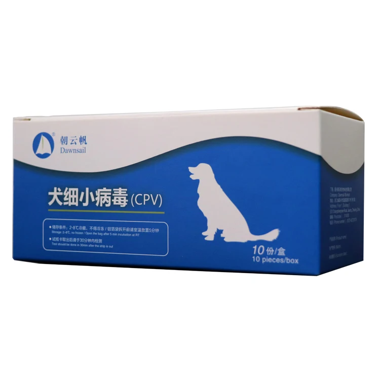 508eeCanine_Parvovirus