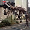 10 meters long T-Rex skeleton,skeleton replicas