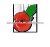 Red poppy meaning red flower with black cernter for remember