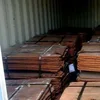 New product 99.99% pure copper cathode for building industry