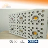 600W red horticultural COB led grow light Pioneer 6 LED