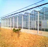 Commercial Gutter Connected Double Layer Tempered Glass Greenhouse with Galvanized Steel Frame for Sale