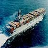 20/40/40hq Seafreight shipping From China to CALUT-TA, INDIA with competitive price china forwarding agent