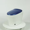 Popular sanitary ware Auto Flush multi-function remote control intelligent closestool royal toilet