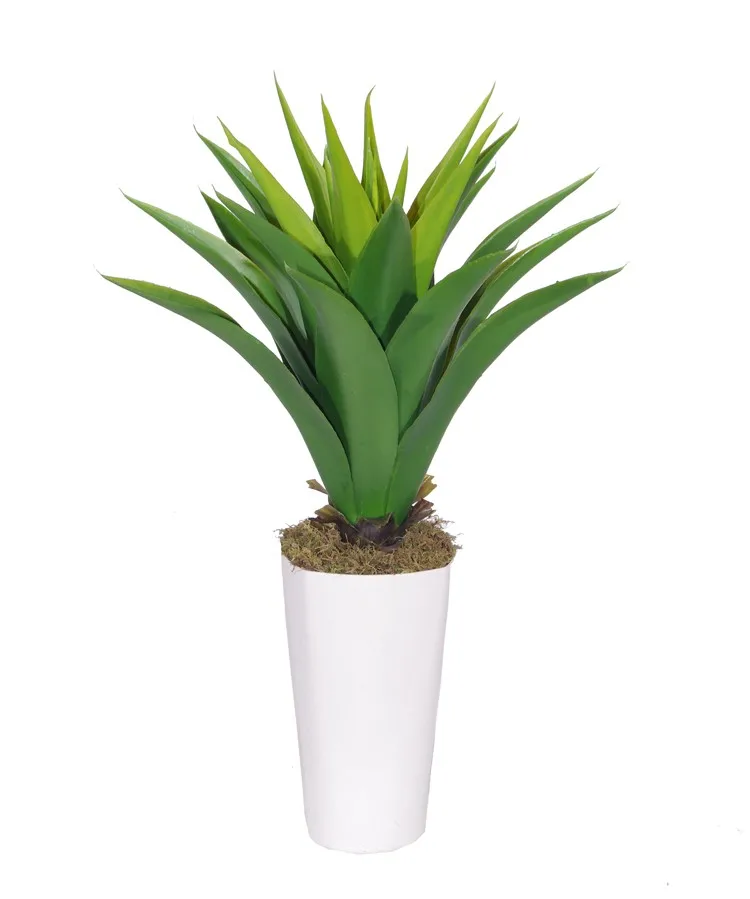 Artificial Outdoor And Indoor Agave For Decoration - Buy Agave