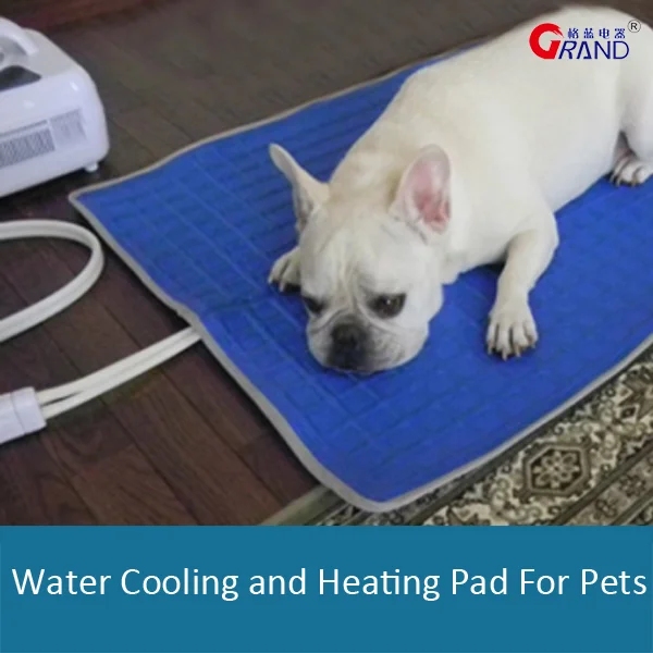 electric cooling dog bed