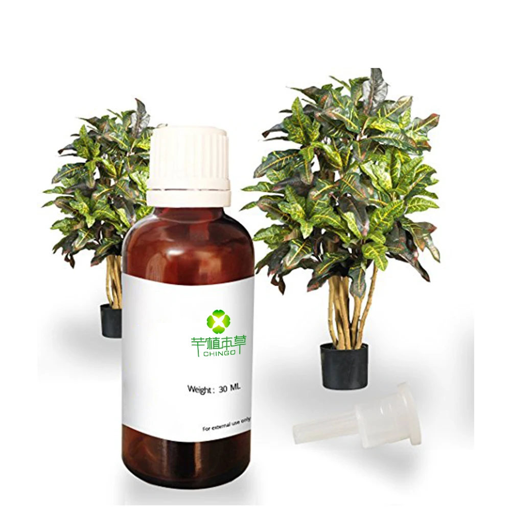 Wholesales Pure Organic 100 Croton Oil Buy Croton Oil,Oil Croton