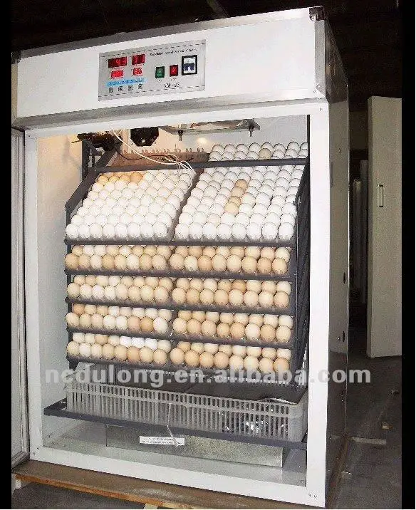 Wholesale Price Automatic Incubators For Sale From Factory Buy