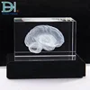 Mind Brain 3D Structure in 3D Laser Engraving Crystal Block