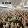 steel structure design free range layers chicken house design