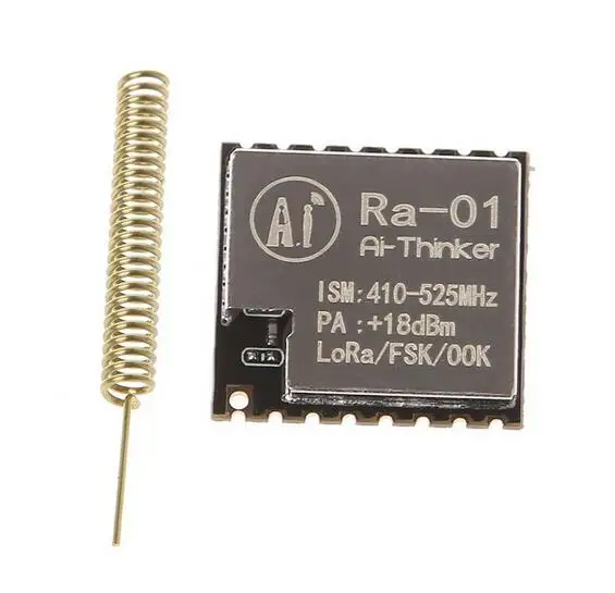 Lora 01. Lora 1w.