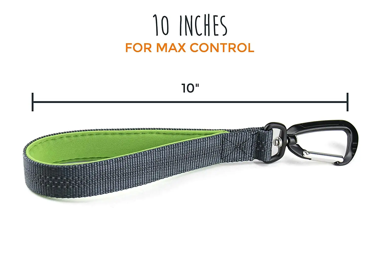 mighty paw dog leash