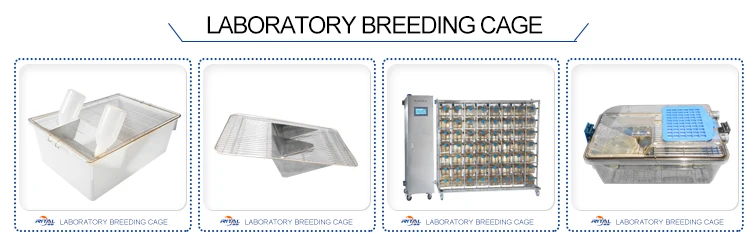 Breeding laboratory. Клетки для лабораторных животных с хепа фильтрами. Бокс для разведения мышей 320*215*170 мм. Клетка для лабораторных свиней zl-100 2000. Комнаты для временного содержания лабораторных мышей и крыс.