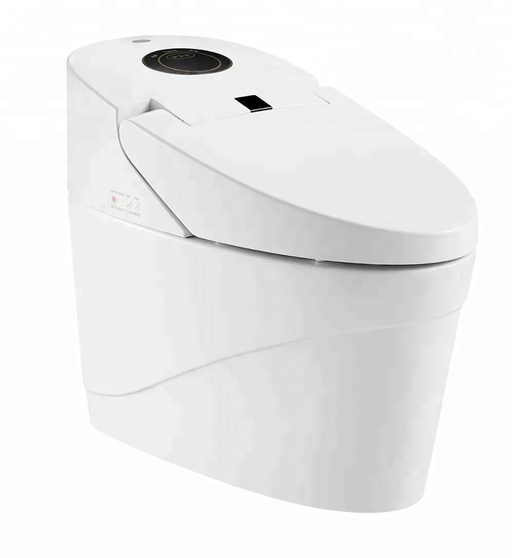 China Sanitary Ware Bidet Spray Electric Smart Toilet Zjs 04 Buy