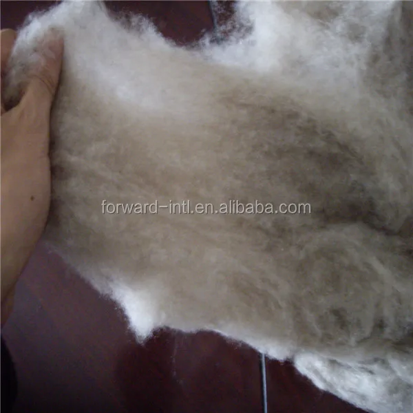 Pure Dehaired Mongolian Raw Cashmere Wool Buy Raw Cashmere Wool